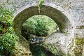 Tollymore Forest Park Newcastle Co Down (15)